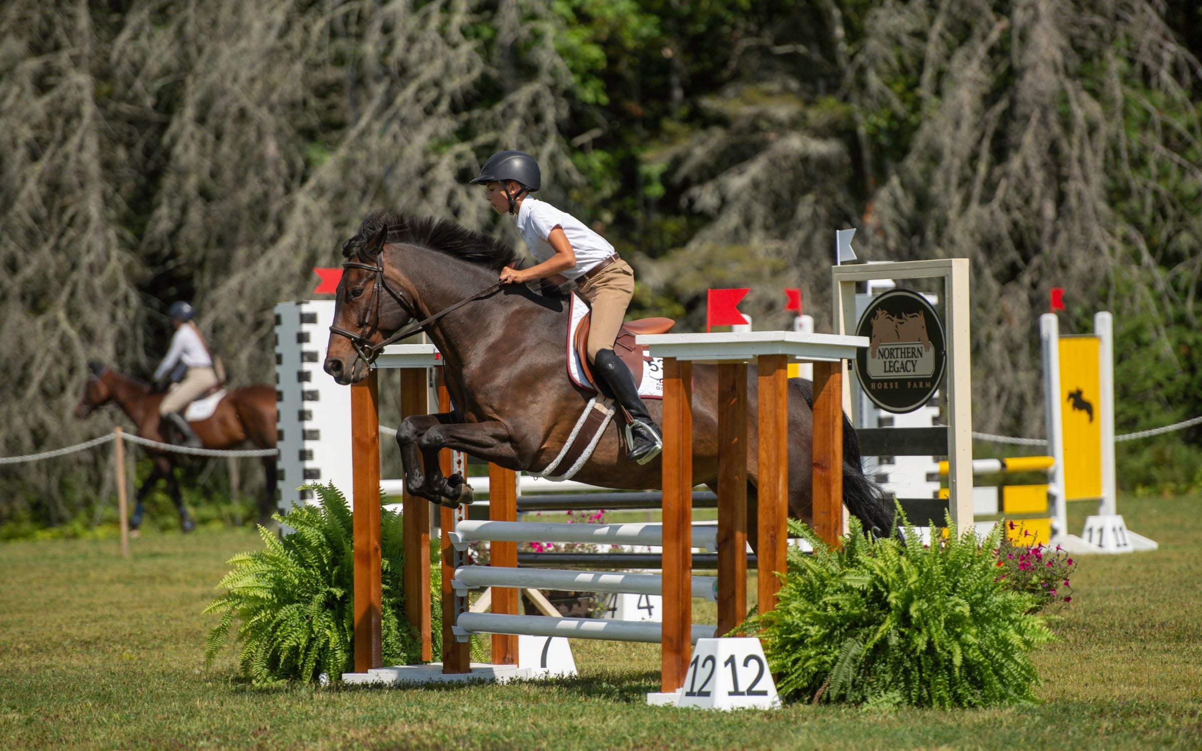 Boy Rider Jumping Pony