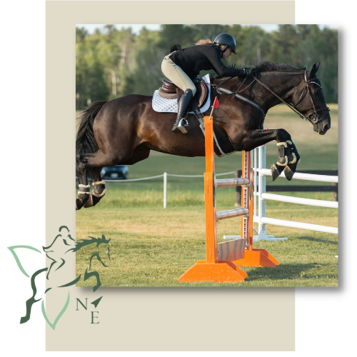 Horse Jumping with NETHJA Logo in Lower corner